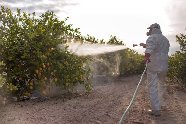 Best Commercial Pest Control Services  in Lanster, CA