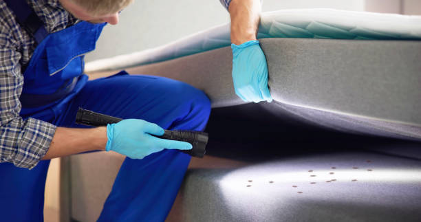 Trusted Lancaster, CA Pest Control Experts