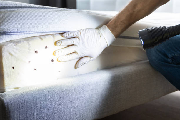 Best Best Pest Control Companies  in Lanster, CA